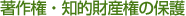著作権・知的財産権の保護