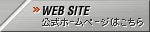 WEB SITEz[y[W͂